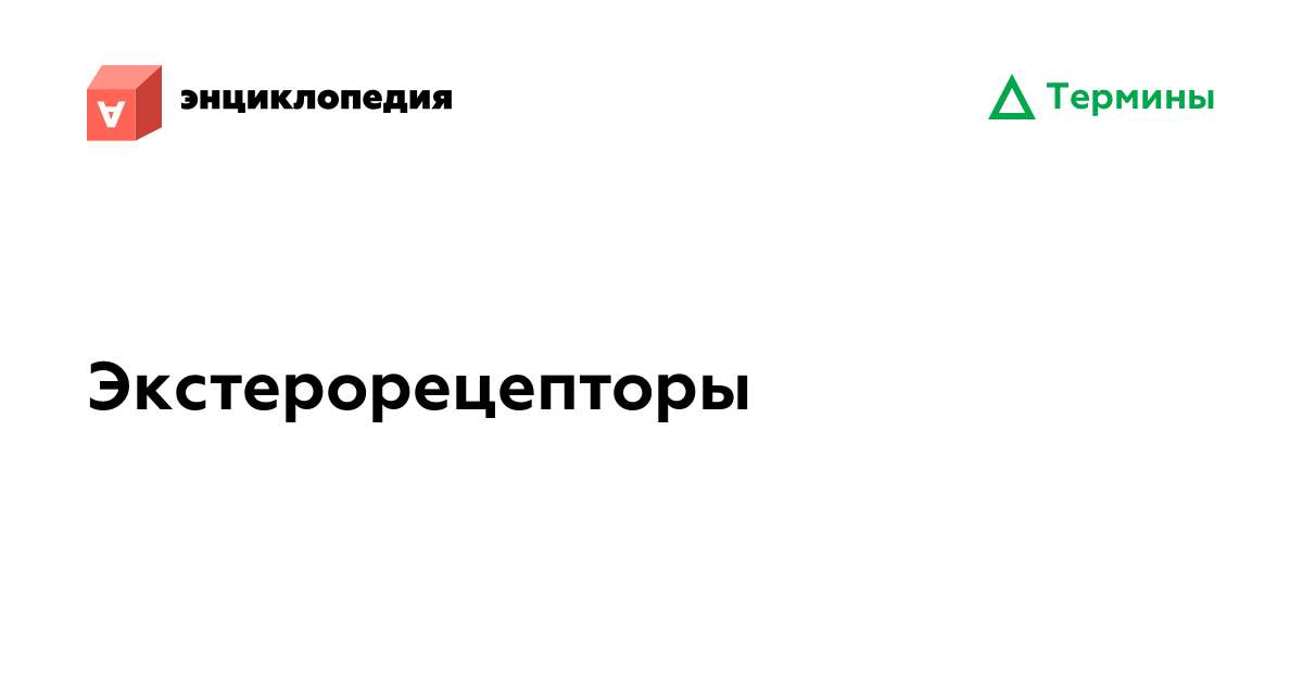 Экстерорецепторы • Аутизм.Энциклопедия